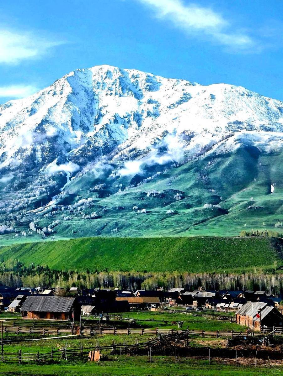 新疆阳光下的友谊之歌