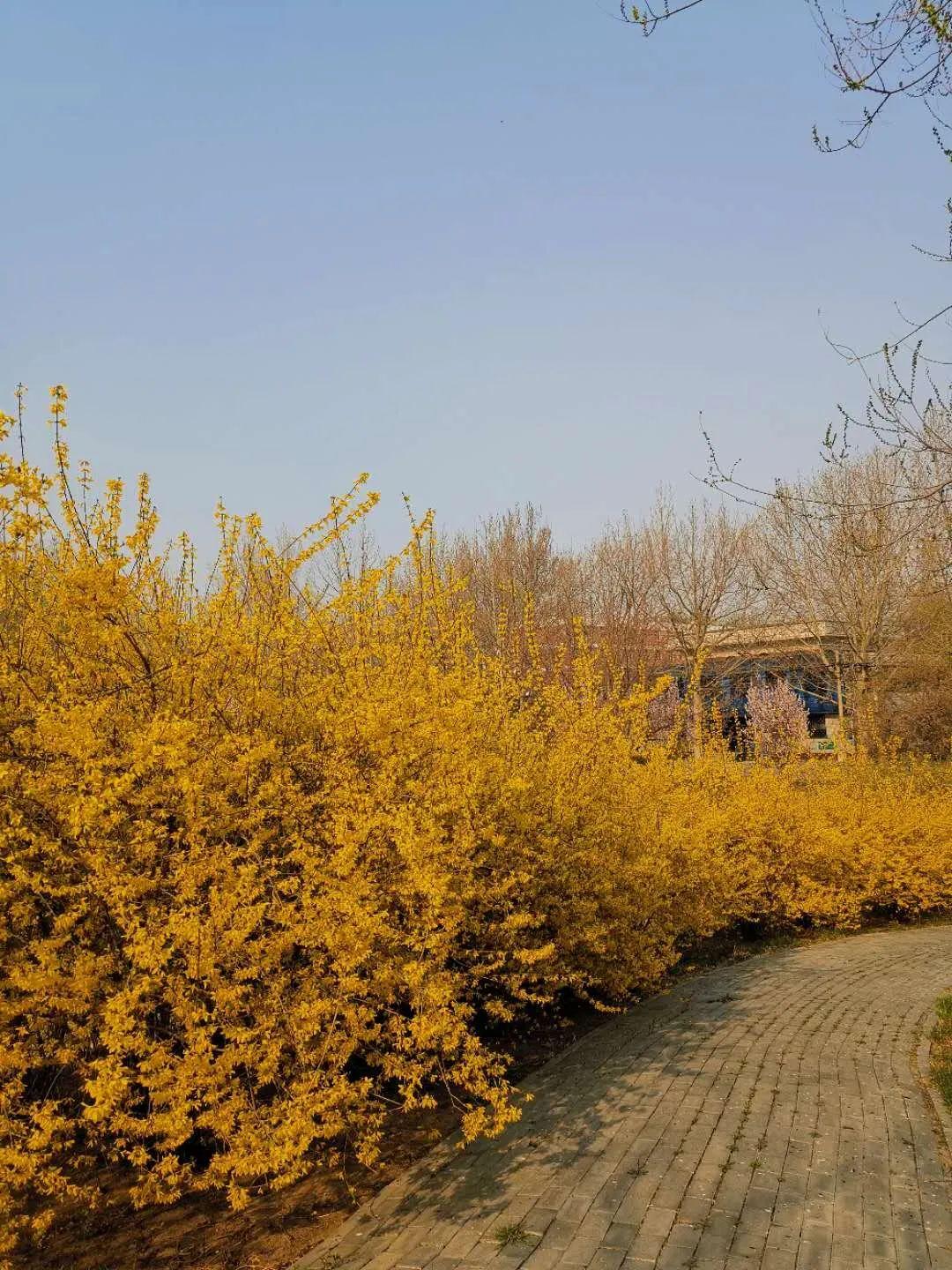 廊坊的温馨日常风采