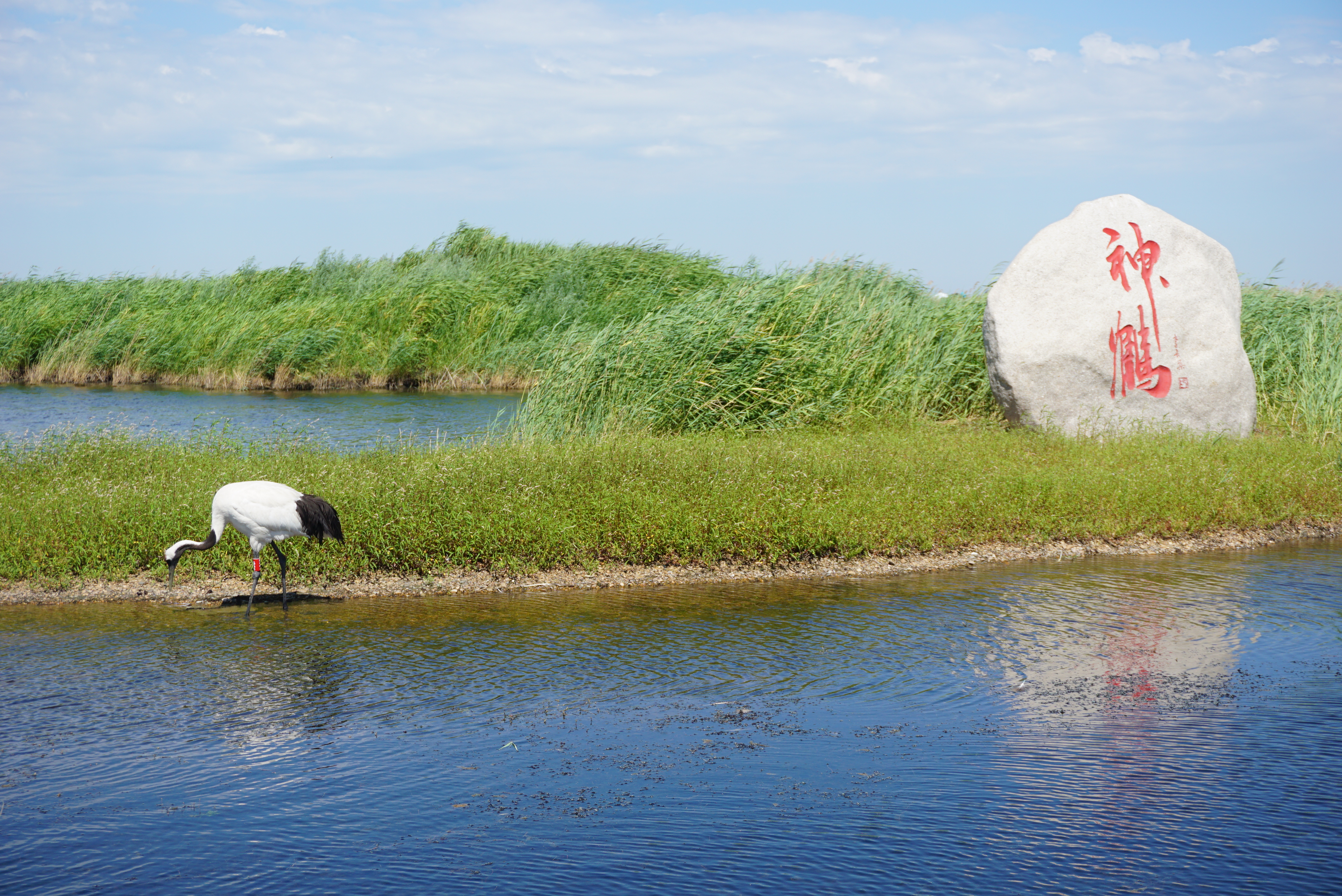 运城巷弄间的美食宝藏，隐藏小巷的特色小店