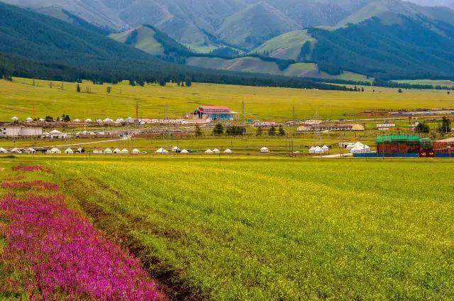 探寻张家口，自然与人文交融的诗意之旅