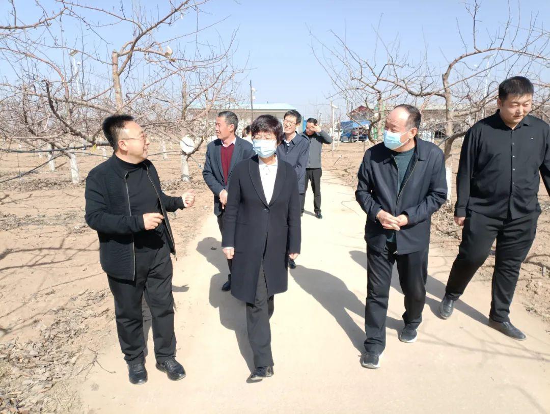 『临汾古韵,才子佳人共谱盛世华章』