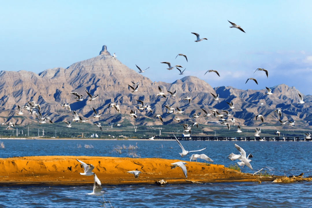 乌海，神秘之旅的独特魅力探寻