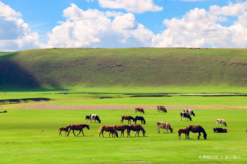 呼伦贝尔，草原之珠的魅力探秘与发现之旅