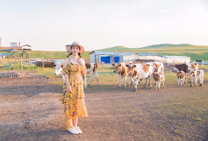 呼伦贝尔，北国风光的璀璨瑰宝